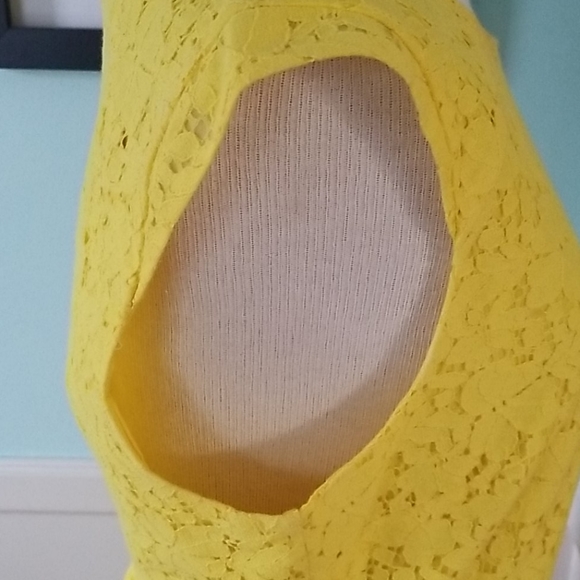 JCREW LACE DRESS - Picture 5 of 9